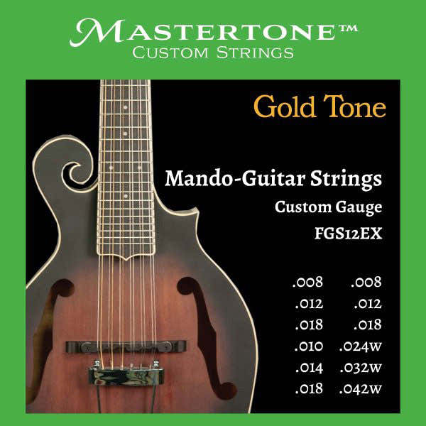 FGS12EX 12-saitige Mandolinen-Gitarre im F-Stil Saiten