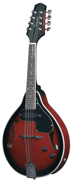 Tenson Folk-Mandoline A-1E Black Cherry