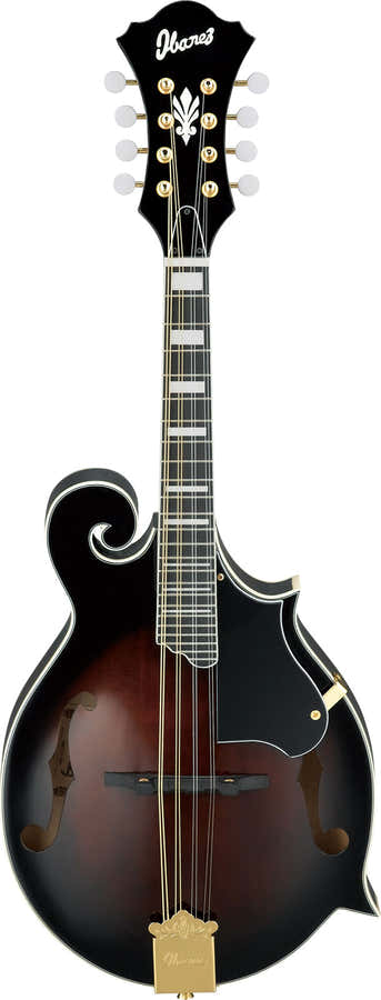 M522SDVS Dunkler Violin-Sunburst Hochglanz