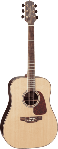 Takamine Gd93 Natural