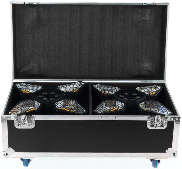Algam Lighting Flight Case für Vintage Flower FC2