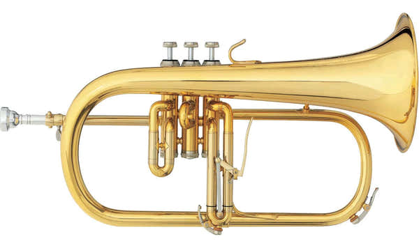 B&S 3146-2-GL
