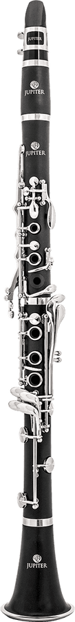 Schülerklarinette B ABS