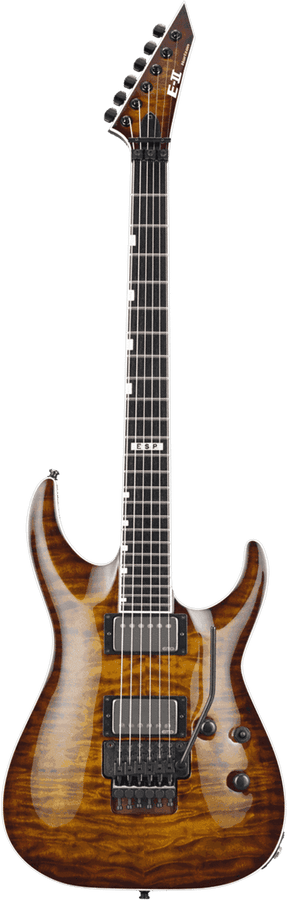2Hori2Fr-Tesb Sunburst