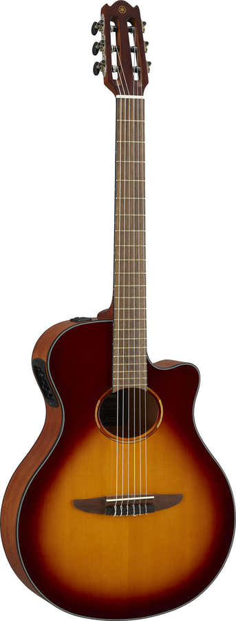 Ntx1 Braun Sunburst