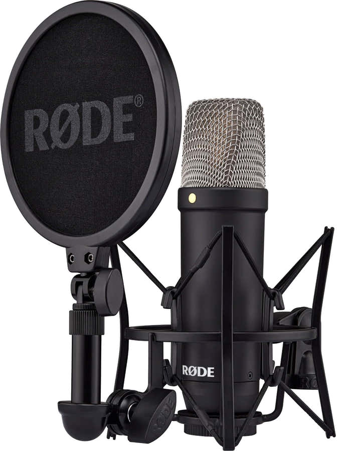 NT1 Signature Schwarz
