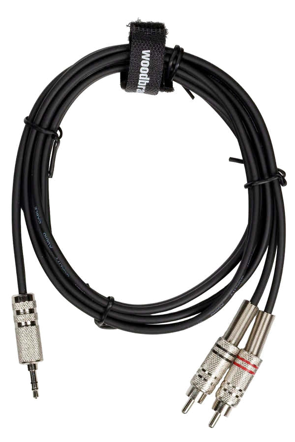 Stereo Mini Jack / 2 RCA Stecker - 1,5 m - AC20
