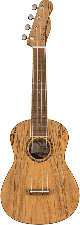 Zuma Uke Exotisch Konzert Wn Spalted Maple