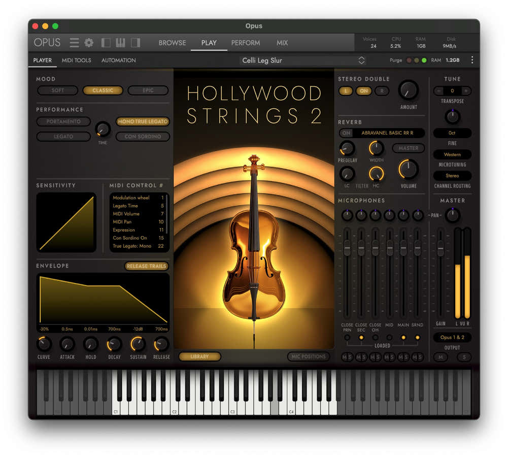 Hollywood Streicher 2