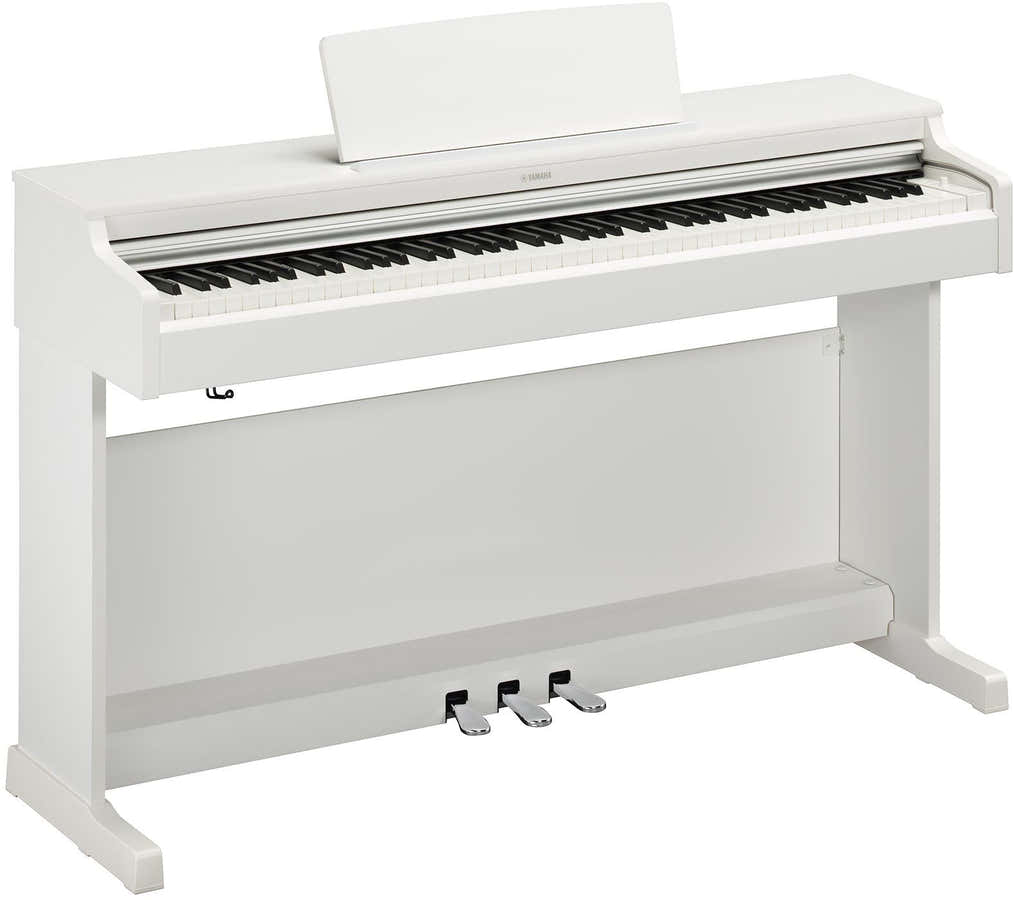 Arius YDP-165 Weiß
