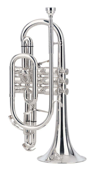 Besson Sovereign B Silber - BE928G-2-0