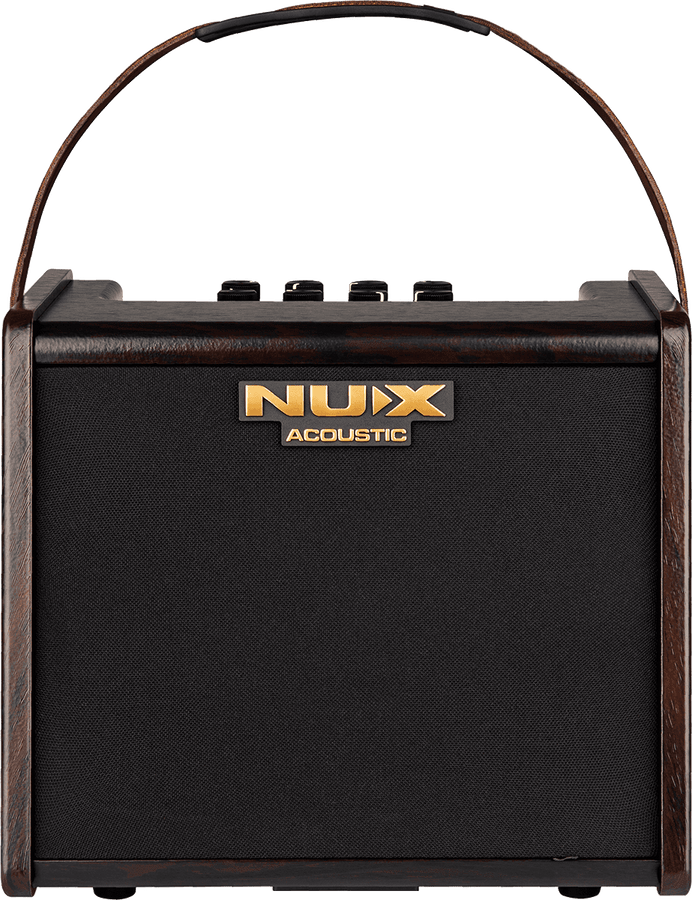 25 WATT ACOUSTIC AMP ON 2 CHANNEL BATTERY + EFFECTS