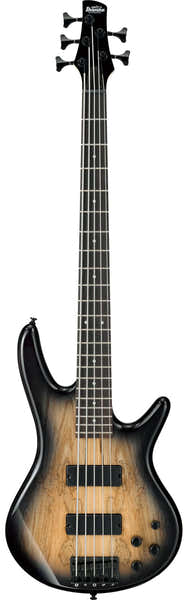 Ibanez GSR205SM-NGT Naturgrau-Farbverlauf Gio
