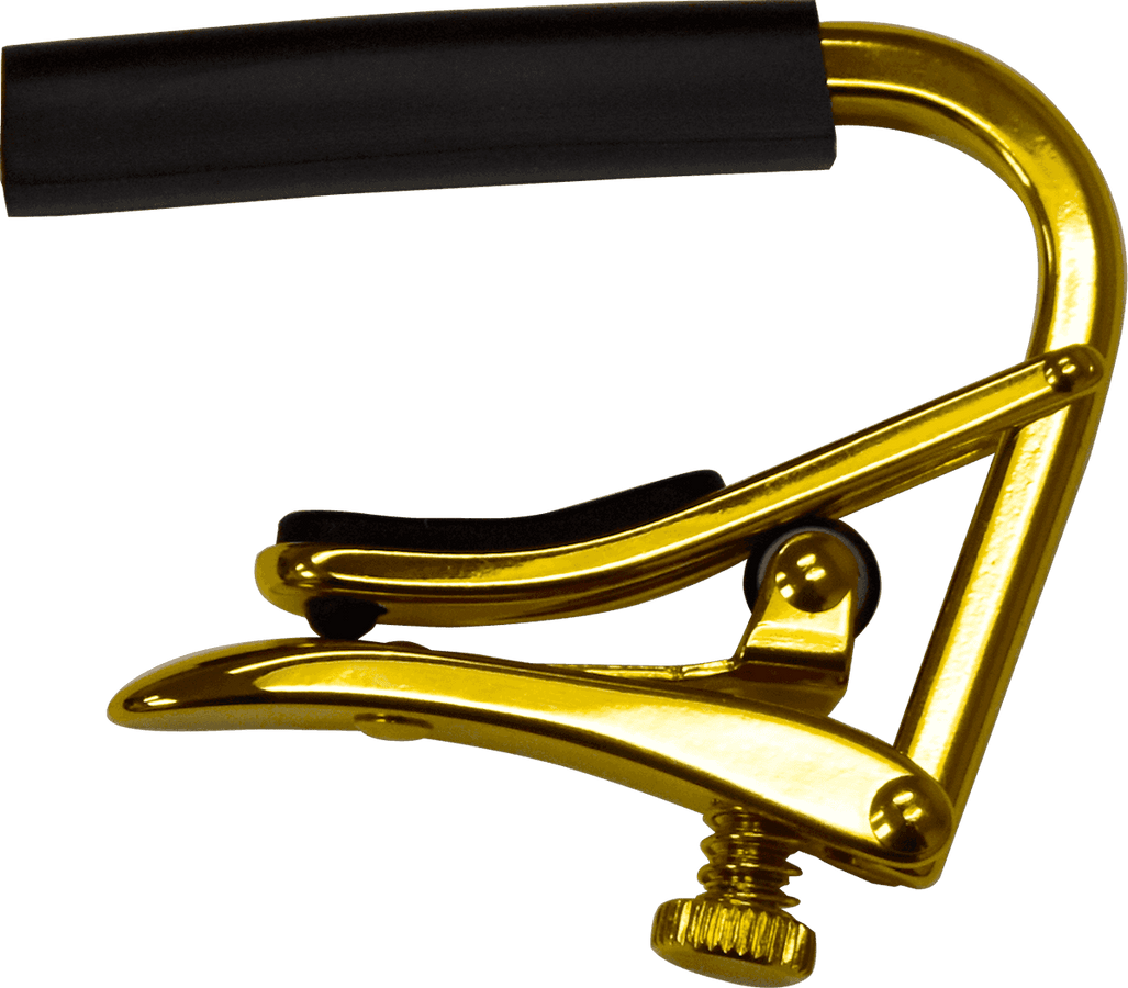 Gold Banjo