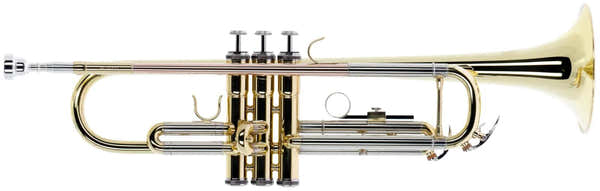 Woodbrass WTP200 - B b lackiert