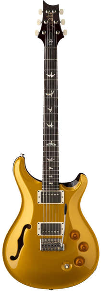 PRS DGT SH Gold Top Vögel