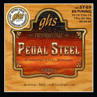 CORDES FOLK PEDAL STEEL STAINLESS STEEL PEDAL STEEL ST C6
