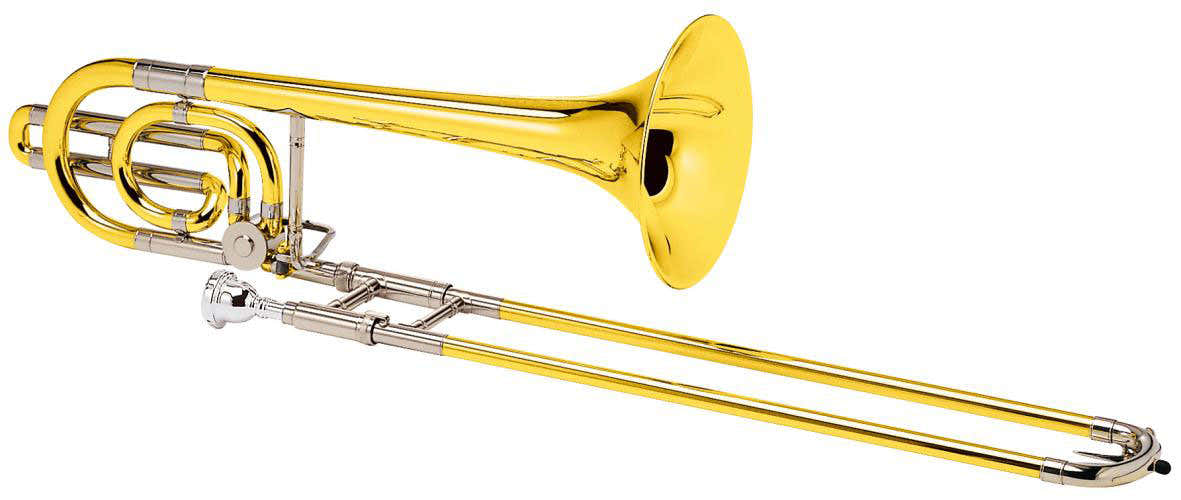PROFESSIONELLE ALT COMPLET SYMPHONY 36H GOLDLACKIERT