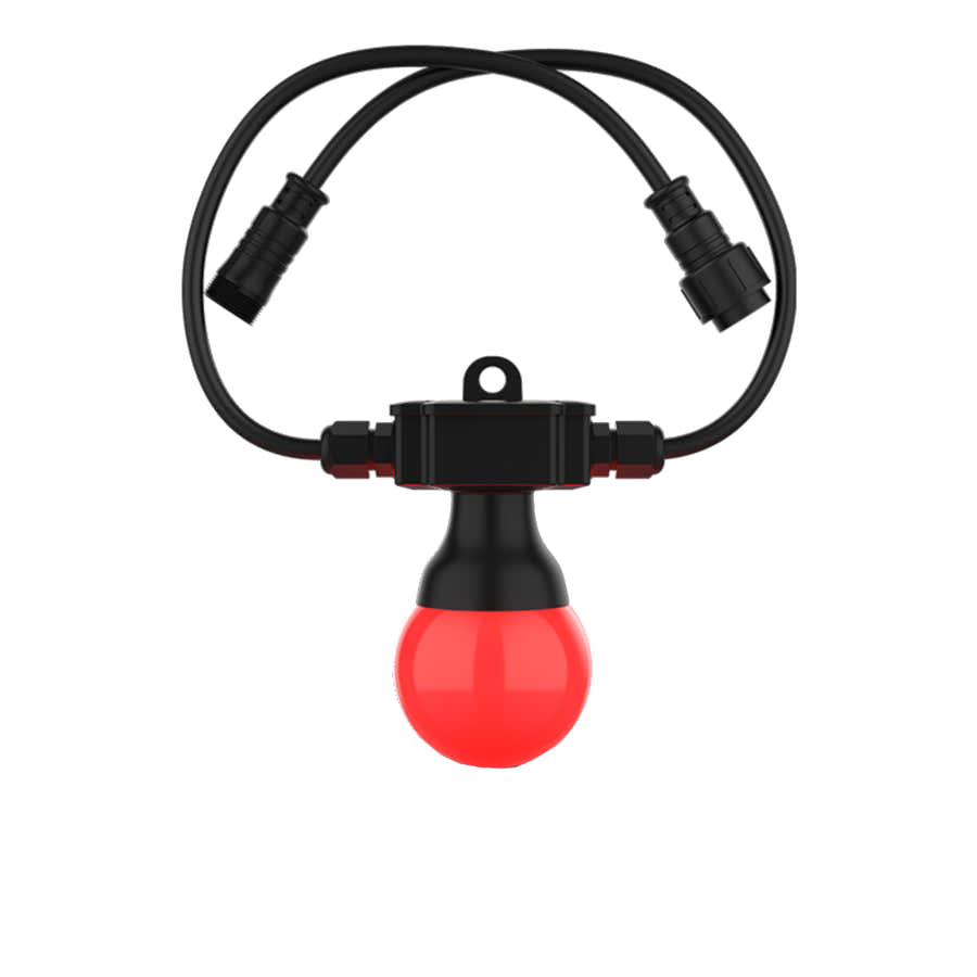 Festoon 2 RGB