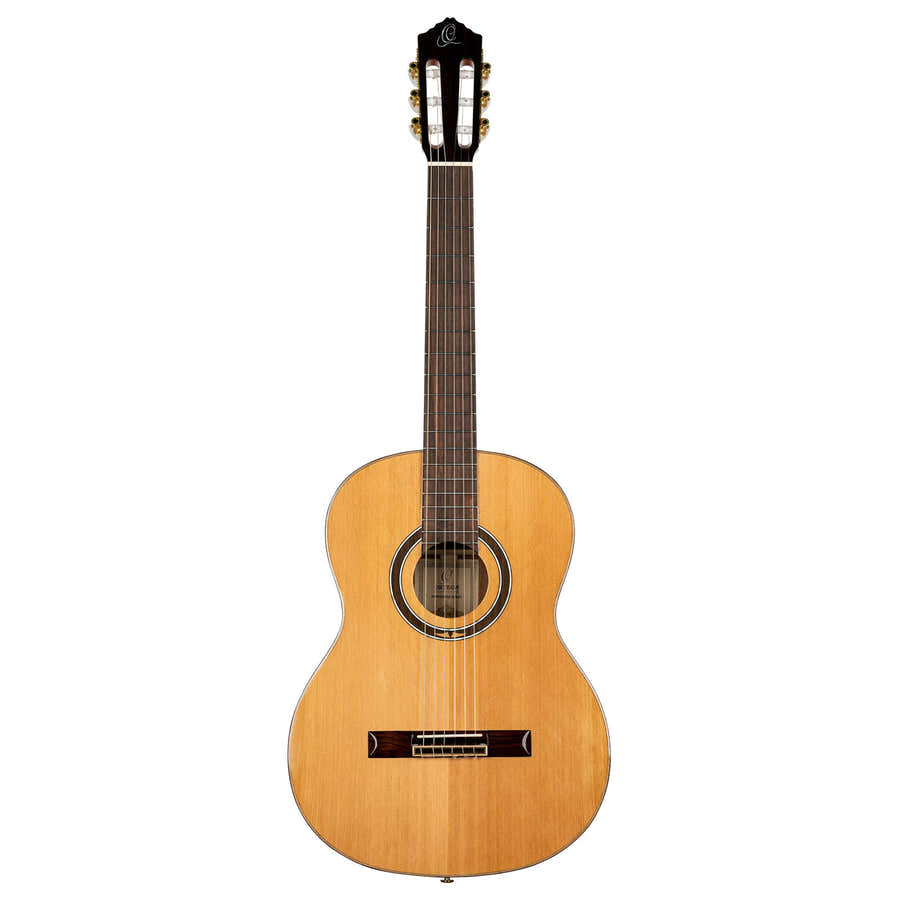 Gitarre R159 Massive Zeder