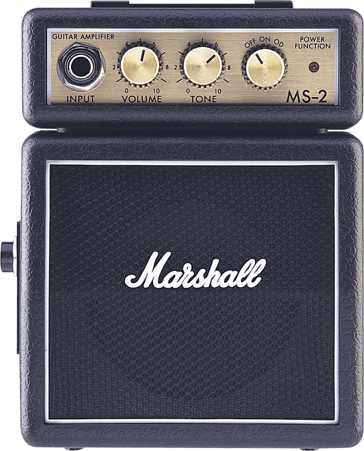 Mini MS2