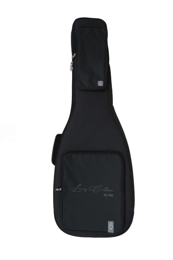 Elektrische Gigbag
