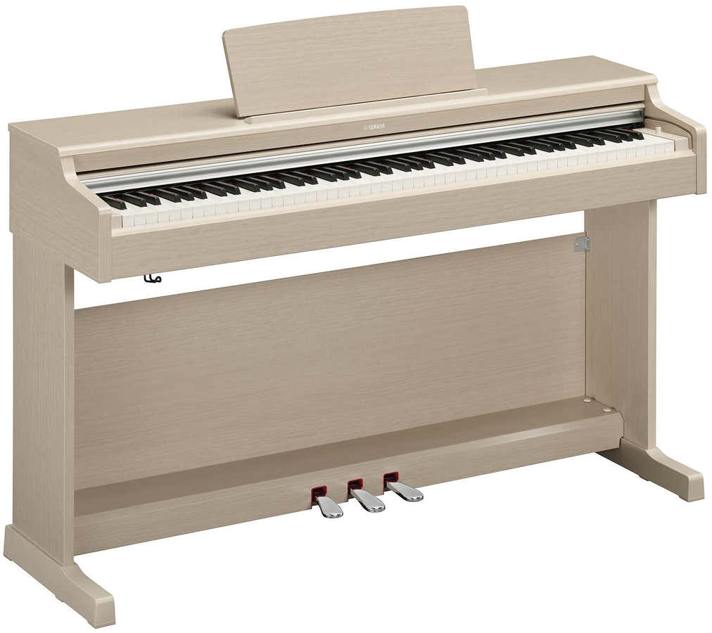 Arius YDP-165 Helle Esche