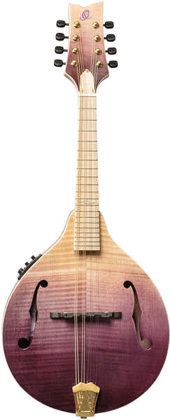 Ortega Americana A-Style-Mandoline + Croco-Lederkoffer