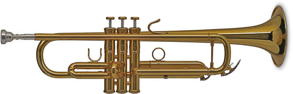 Gewa Vision TR172 B Lackiert