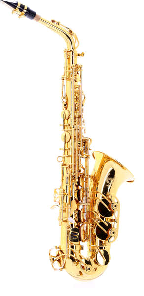 Woodbrass WSA300 - Alt E B Lackiert