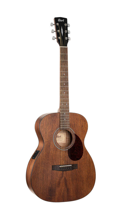 Gitarre Luce L60MF Natur Fishman