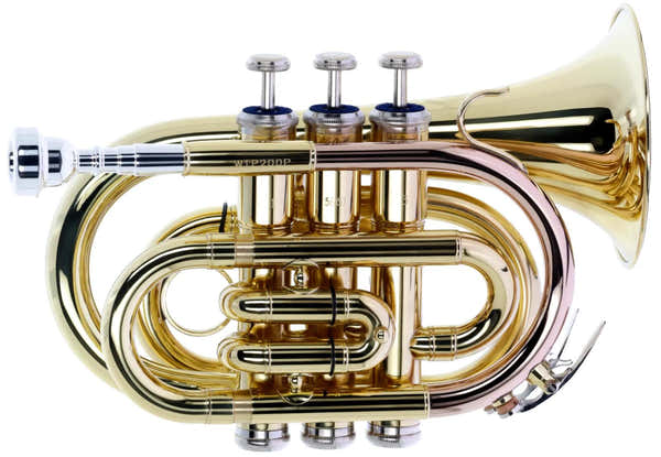Woodbrass WTP200P - B b Lackiert