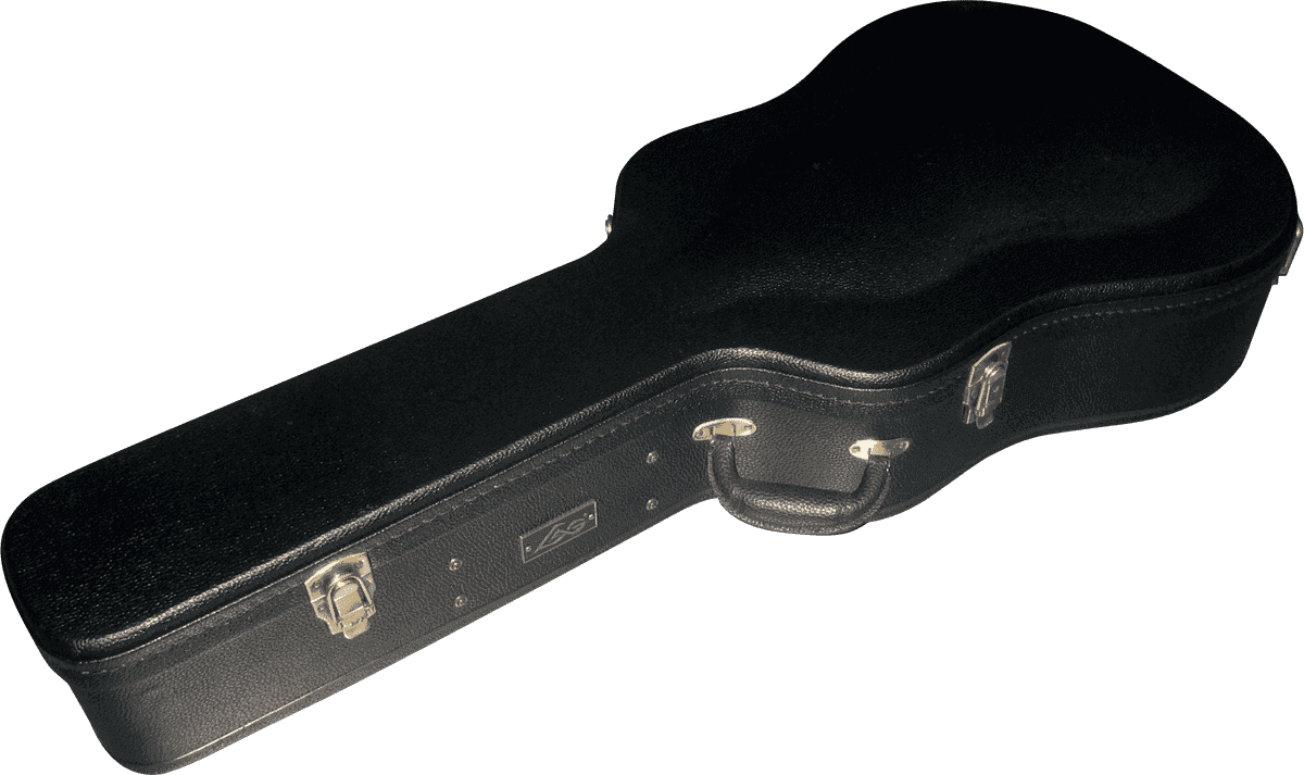 100D Dreadnought-Etui