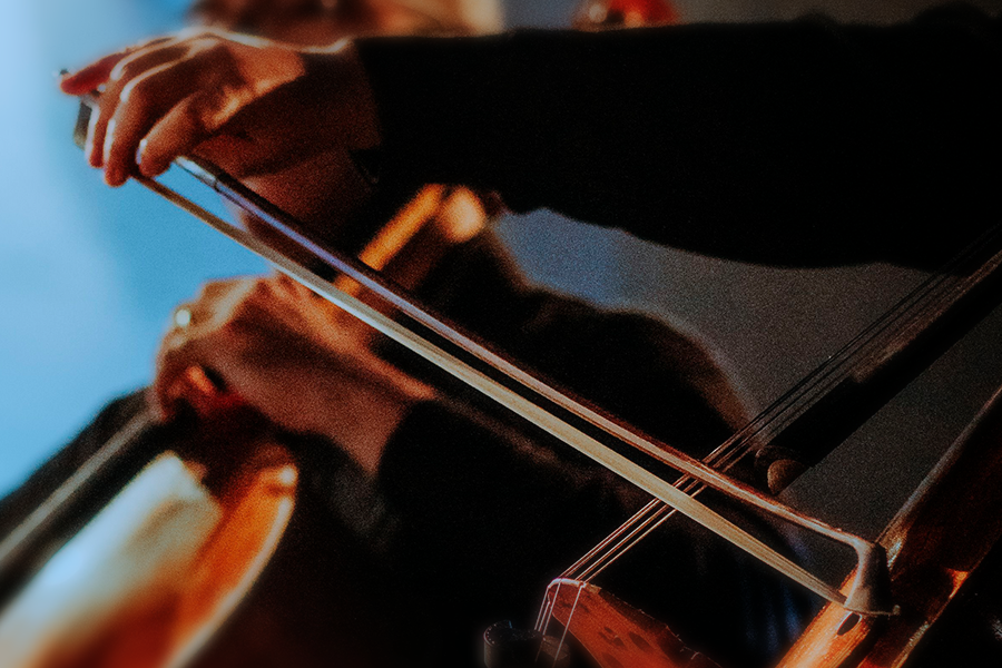 cello zubehor