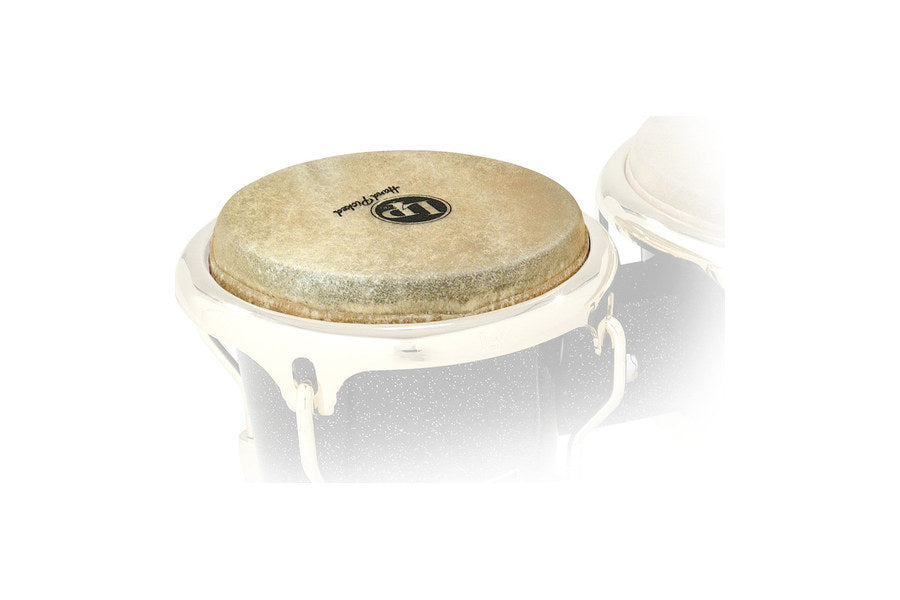 bongo felle