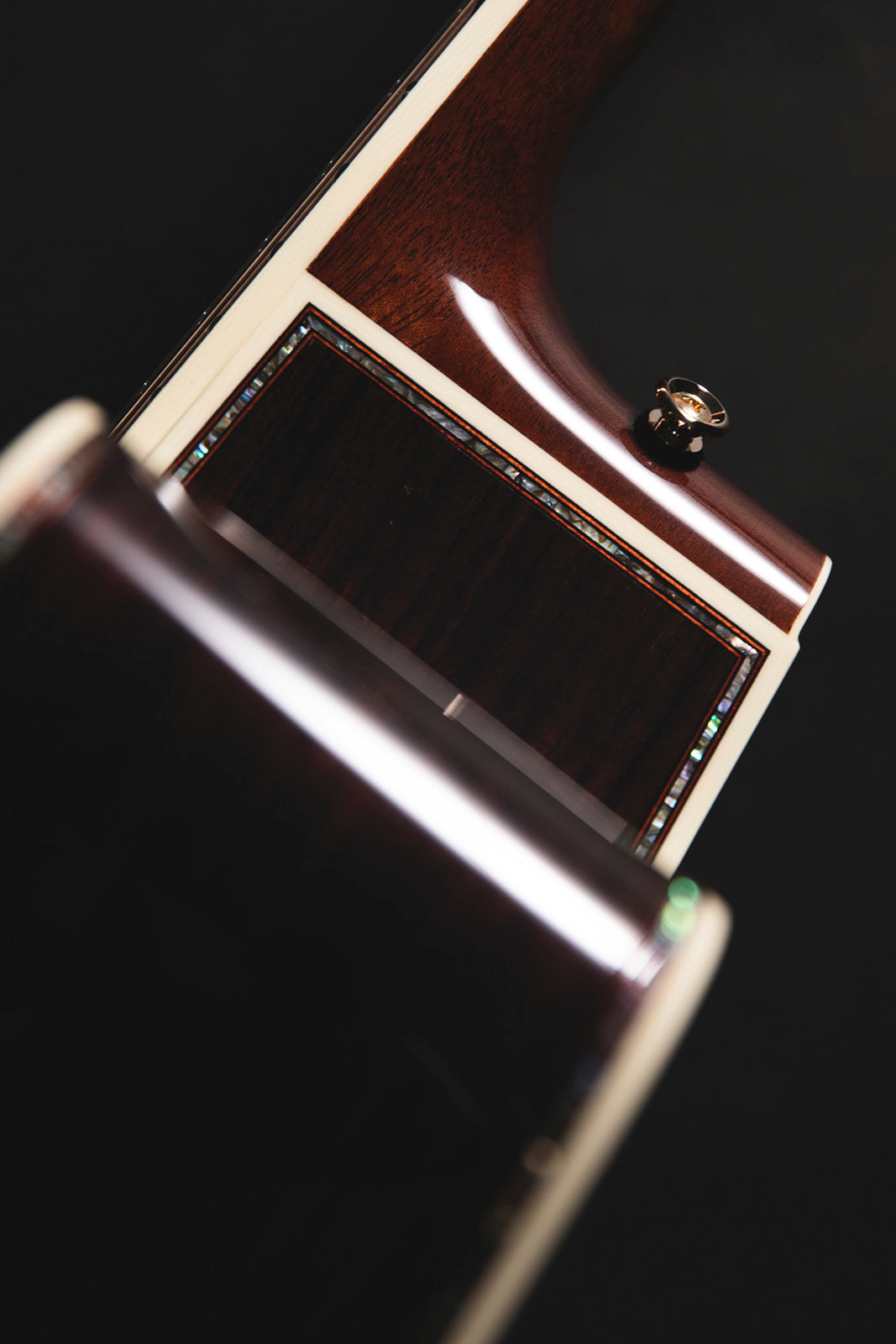 Nex Cutaway Electro P10NC