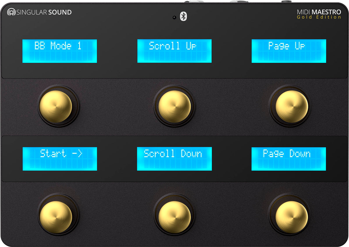MIDI MAESTRO CONTROL PEDALS