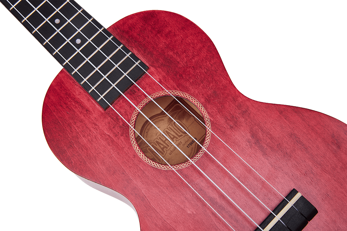 Ukulele Island Concert Berry Crush + Hülle
