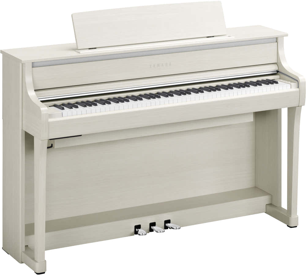 CLP875 Weiß-Birke