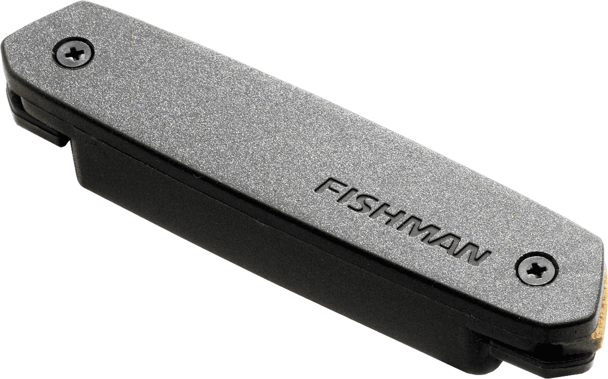 NEO-D MAGNETIC SOUNDHOLE HUMBUCKER PICKUP