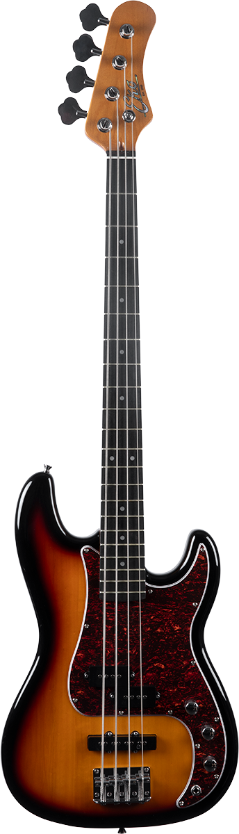 PJ 300 Sunburst