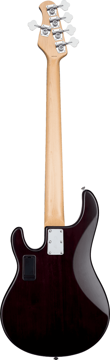 Stingray5 In Walnut Satin 5-String