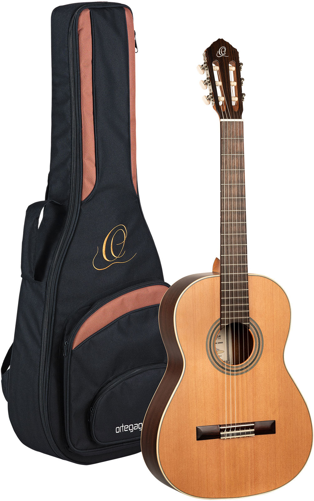 Traditional 4/4 + Pro-Gigbag