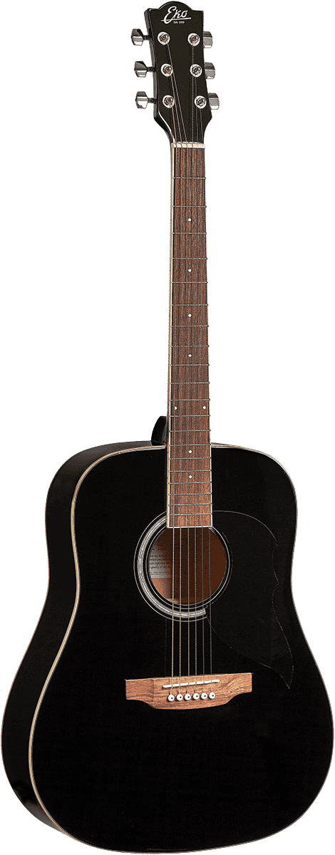 Eko Akustikgitarren