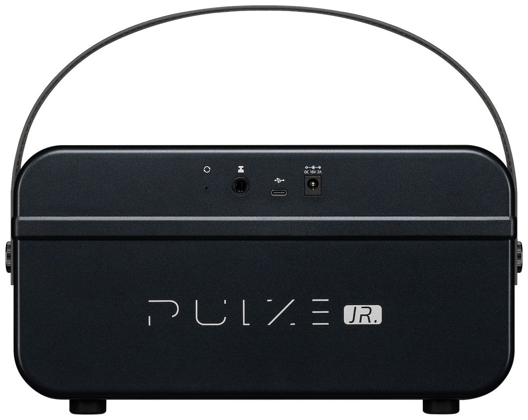 Hotone AP-20BK Pulze Jr. Schwarz