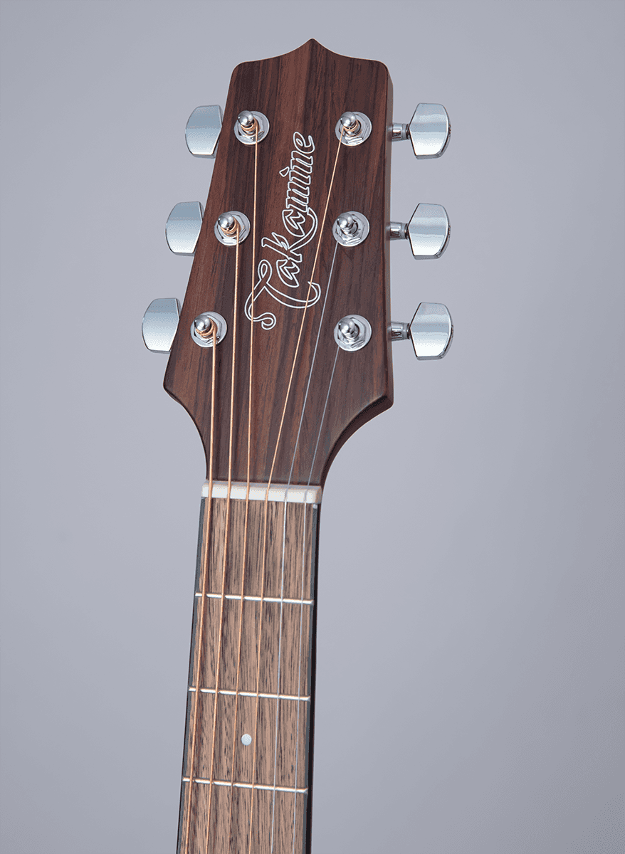 GLD12ENS 12 Dreadnought Fichte-Mahagoni