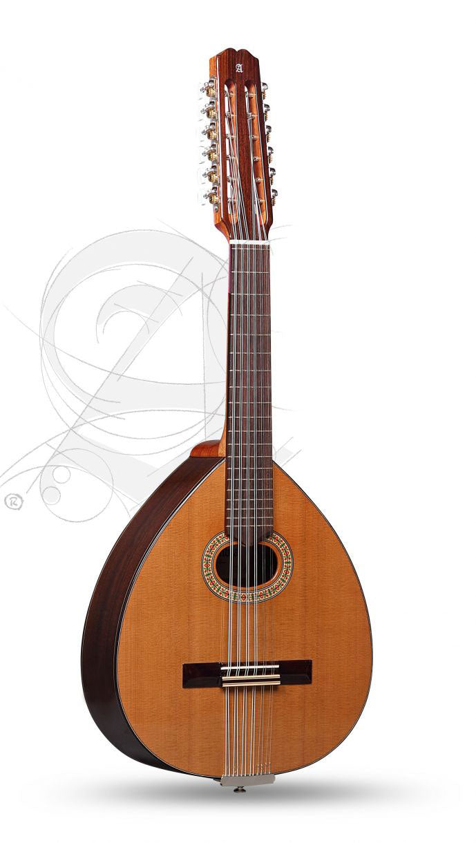 Student L-3C Lutes + 9534 Gigbag