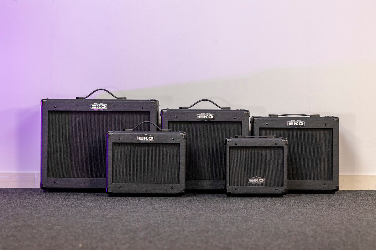 2 channels + FX loop + Reverb - 12" speaker - 50W