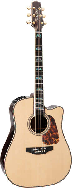 Dreadnought Cutaway Elektro P10DC