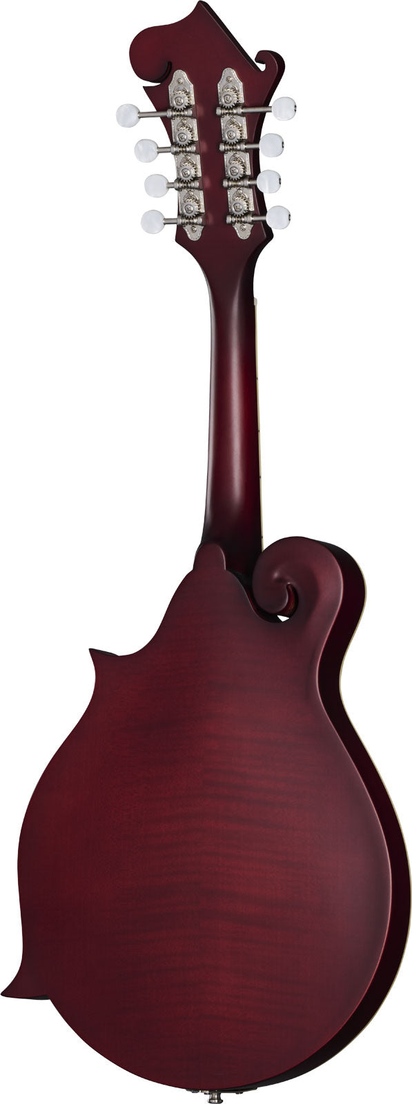 F-5 Studio Weinrot Satin Ibgcs